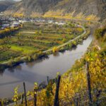 Die Seele des Rieslings: Eine Weinreise in den Rheingau