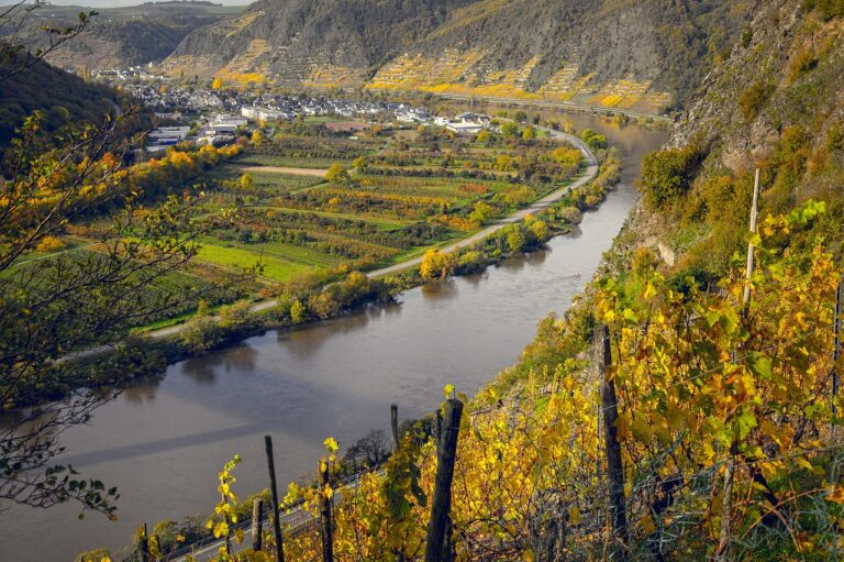 Die Seele des Rieslings: Eine Weinreise in den Rheingau