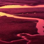 Naturwein low abv: Leichte Rotweine: 10 Tipps unter 11% Alkohol