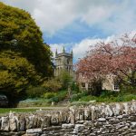 Cotswolds Founder's Choice: Hype aus dem Weinfass?
